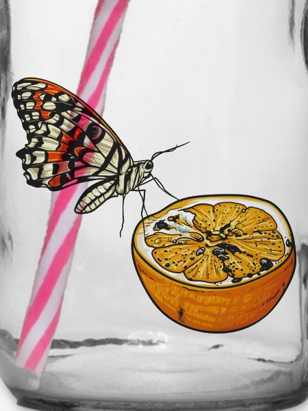 Schimmel // Orange