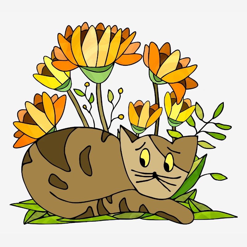 Chat