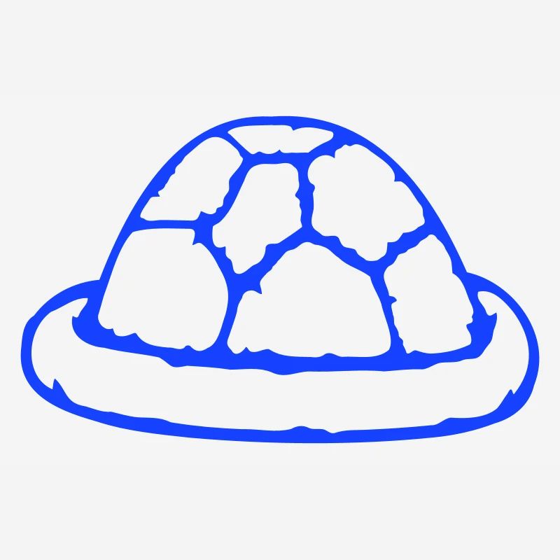 Turtle shell without turtle cute shell