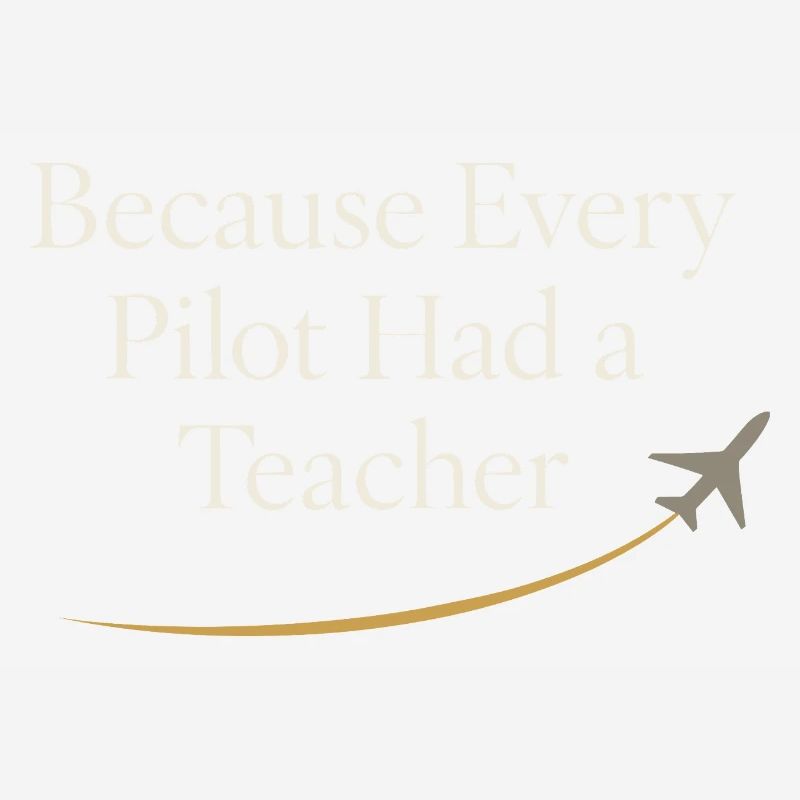 Flight Instructor Cfi Pilot Aviation Instructor