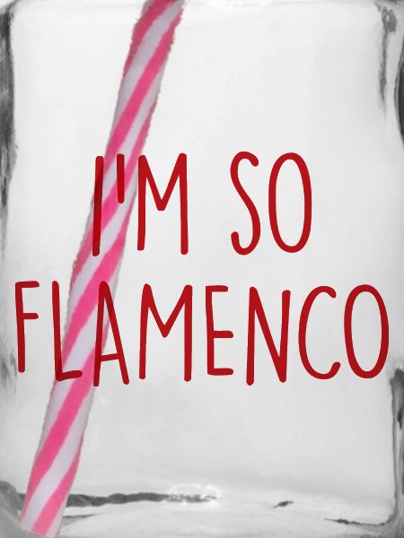 Flamenco Spain Spanien