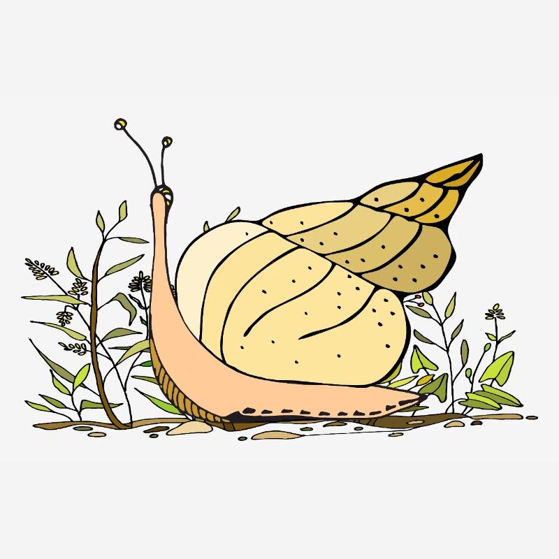 escargot