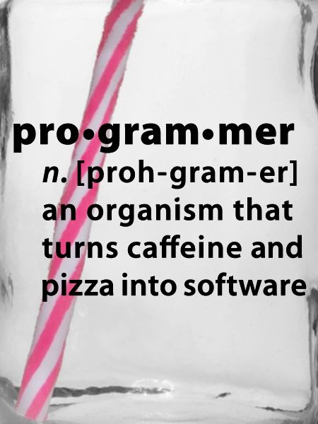 Programmer Wörterbuchdefinition