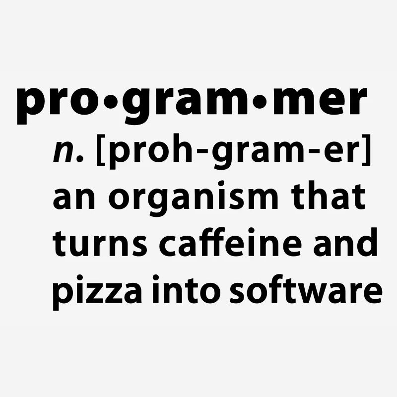 Programmer dictionary definition
