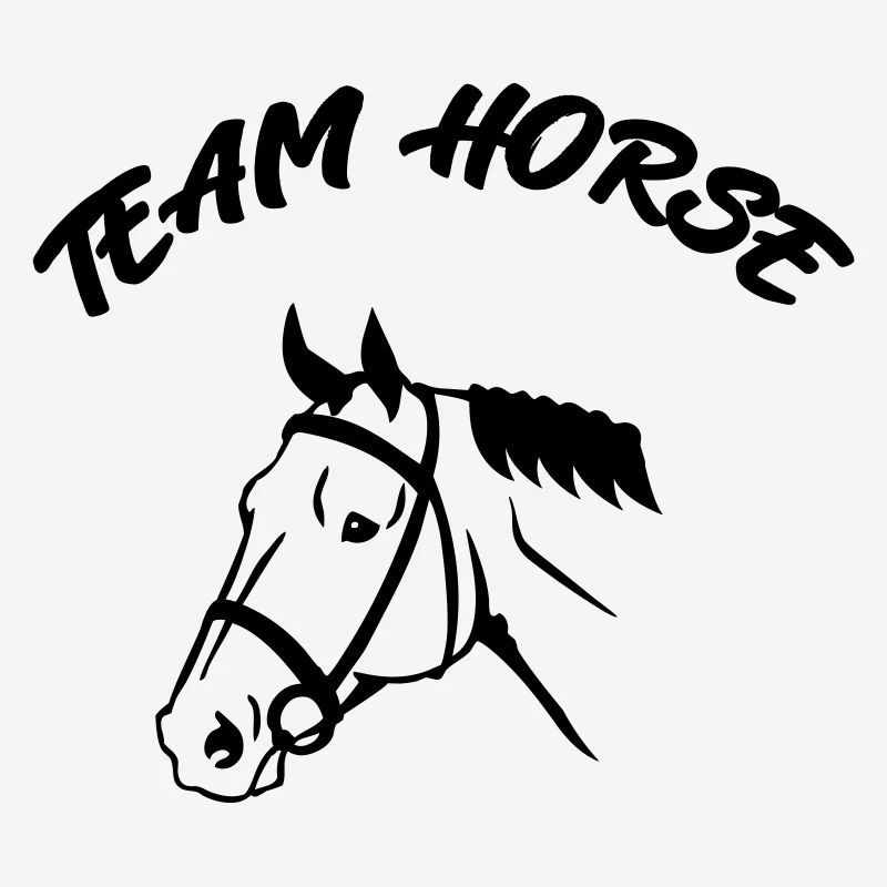 Cheval d’équipe