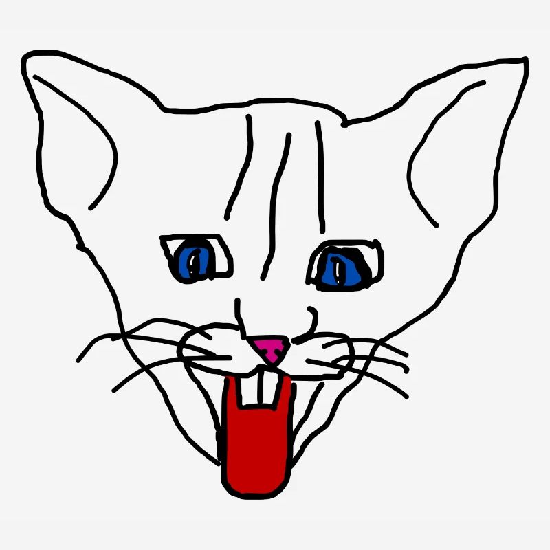 Chat