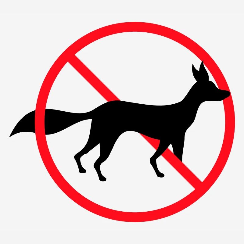 Panneau d’interdiction de renard, pas d’avis de zone