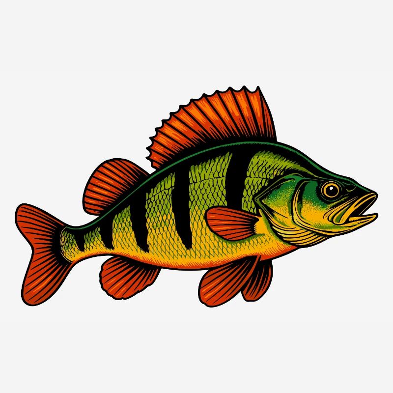 Perche Perche Perche Perche Perche Pêche Perche Perche