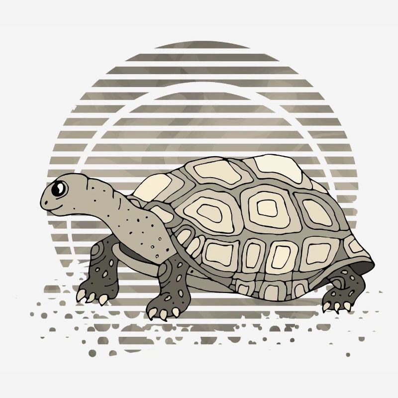 Tortoise