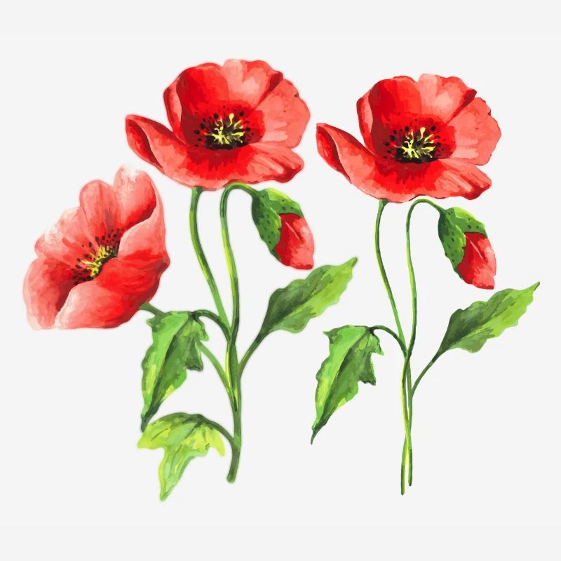 Fleur