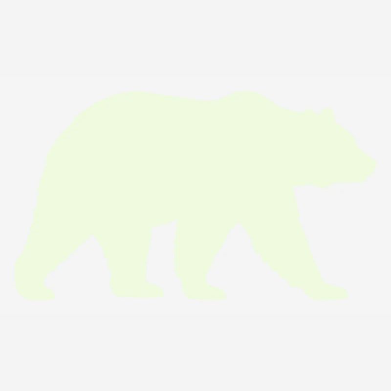 grizzly_baer-