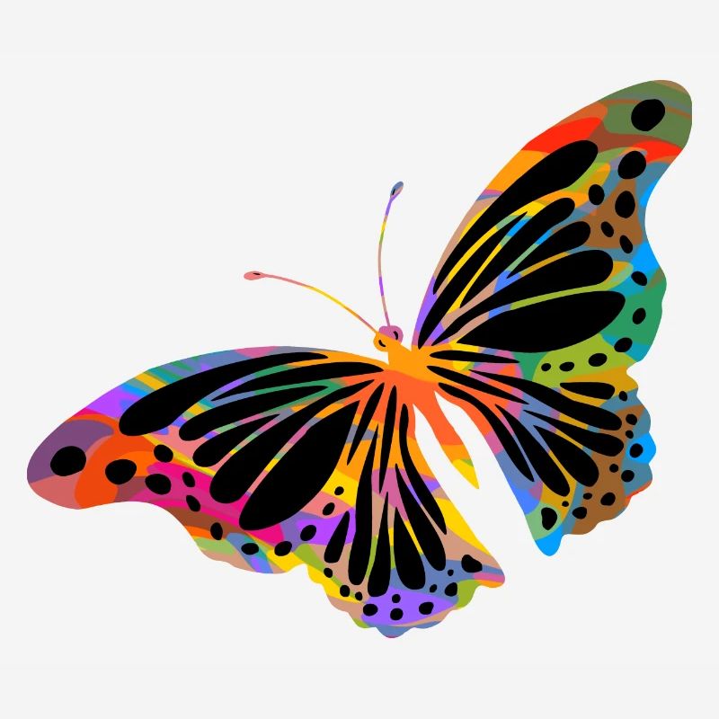 Papillon