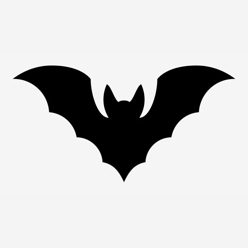 Fledermaus