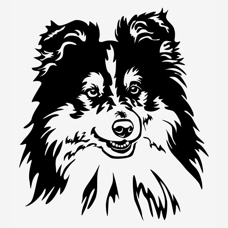 Sheltie Kopf