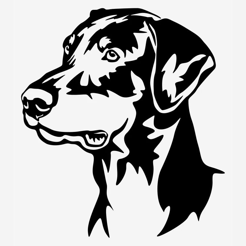 Tête de Doberman