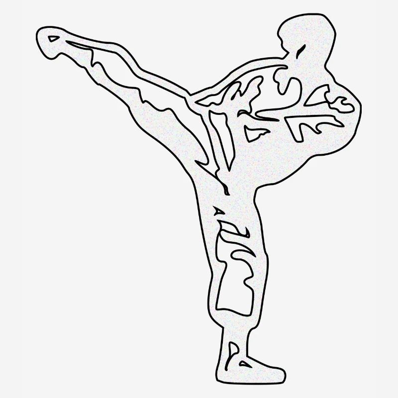 karate silber