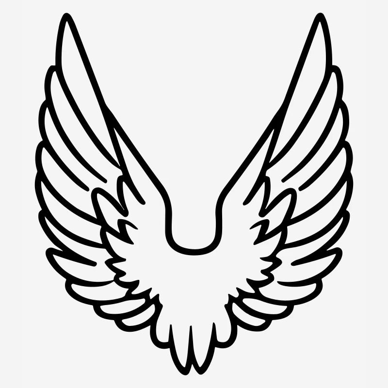 Ailes d'ange
