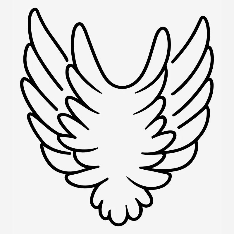 Ailes d'ange