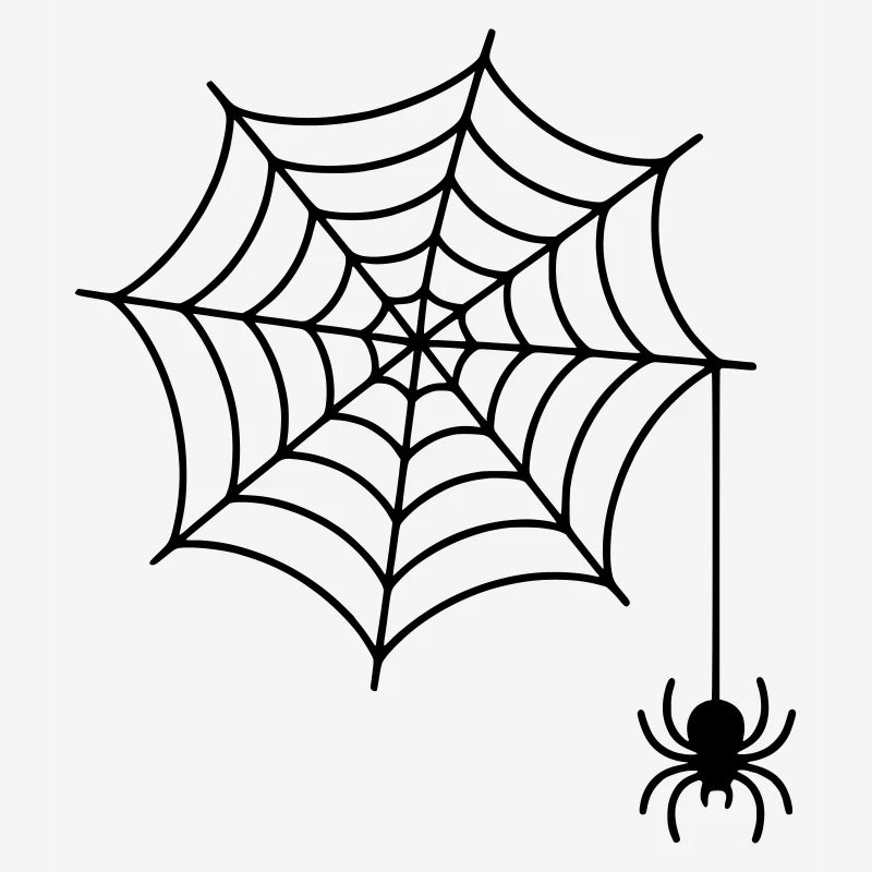 Spider web with spider silhouette