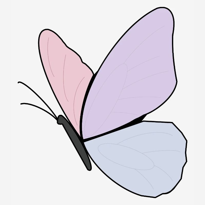Conception de papillon pastel