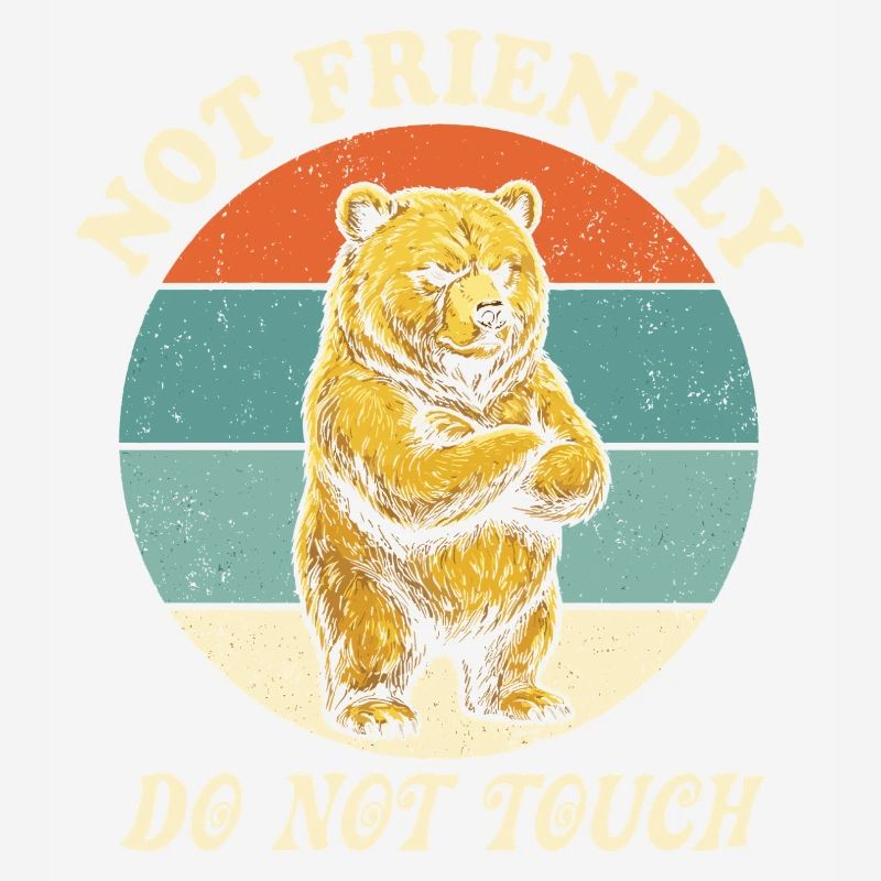 Grumpy Bear Not Friendly Funny Ironic Meme