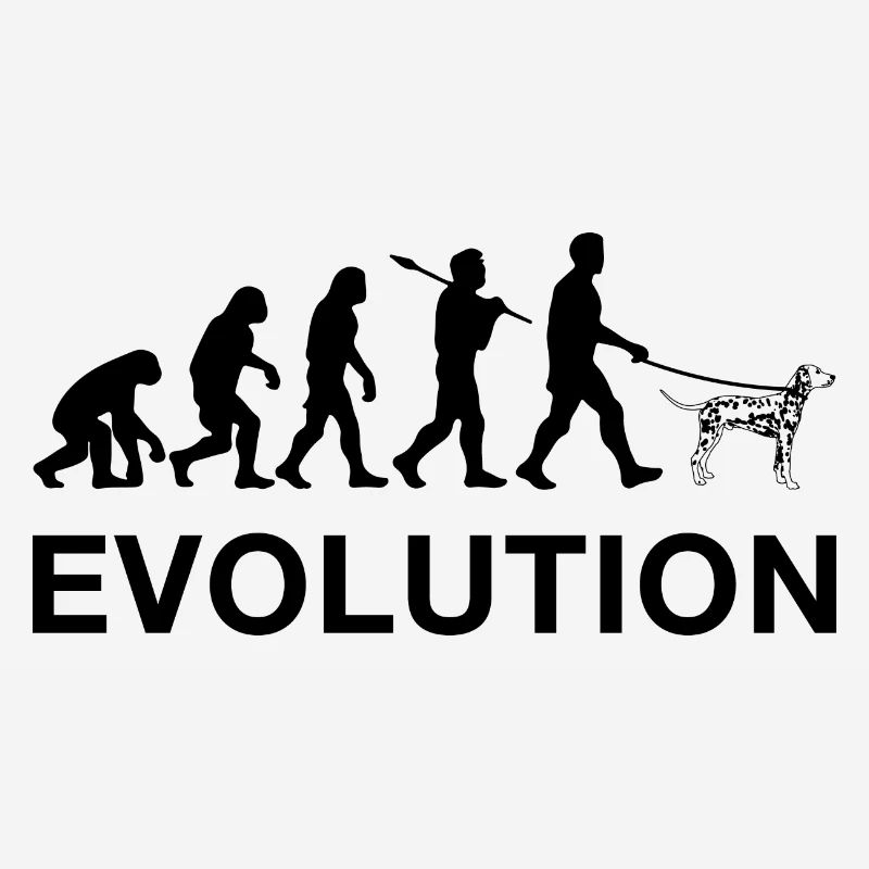 évolution