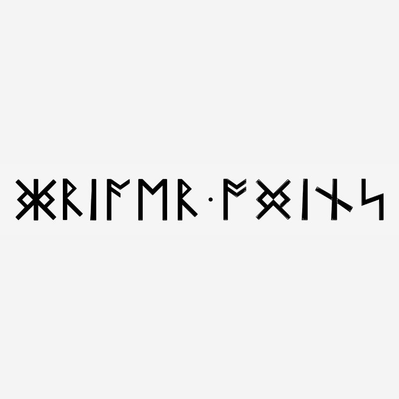 Warrior Odin's Runes Scripture Germanic Vikings