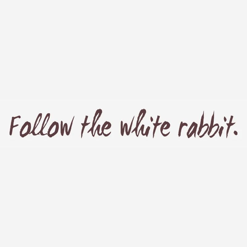 Follow the white rabbit programming cadeau
