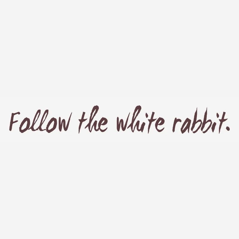 Follow the white rabbit Programming Geschenk