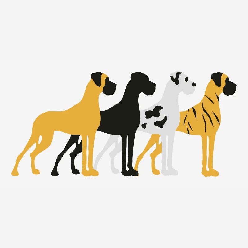 Four basic colors Great Dane