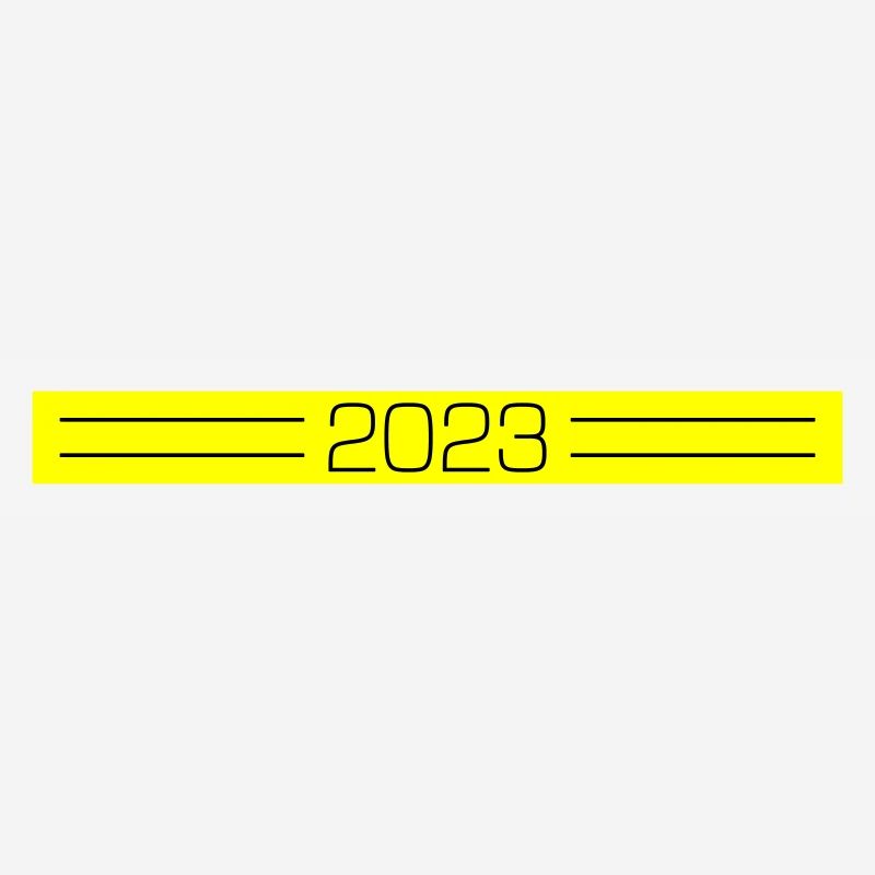 2023 Dash
