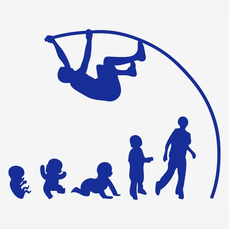 evolution saut perche