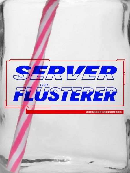 Server Flüsterer