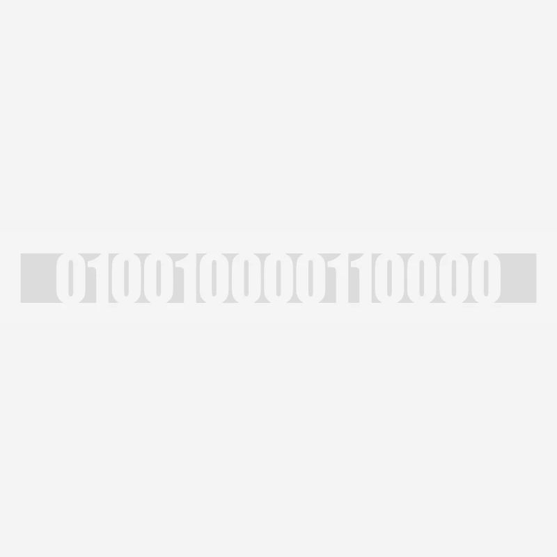 Langage de programme de code binaire