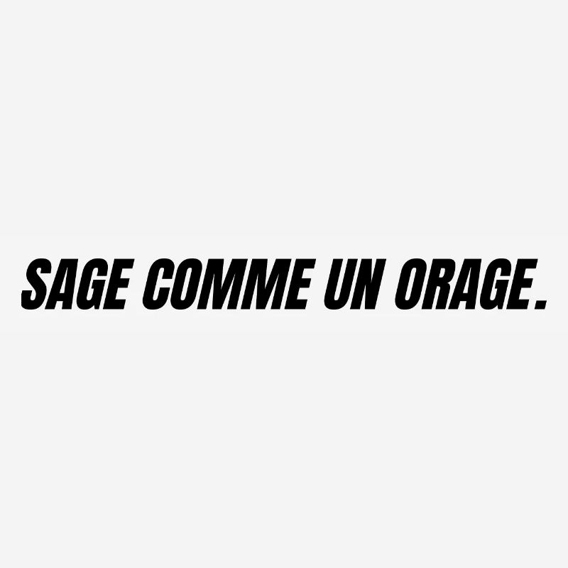 sage comme un orage