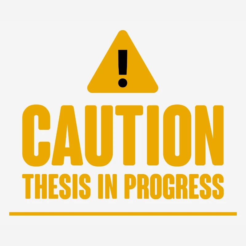 Caution Thèse en cours 2