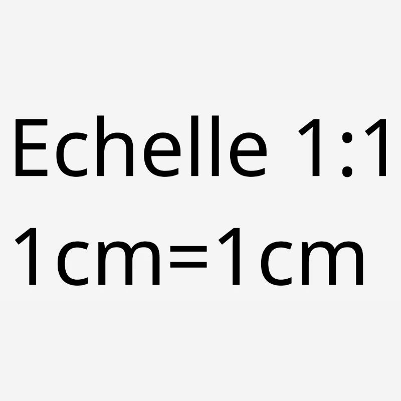 Architect, interior designer, project manager