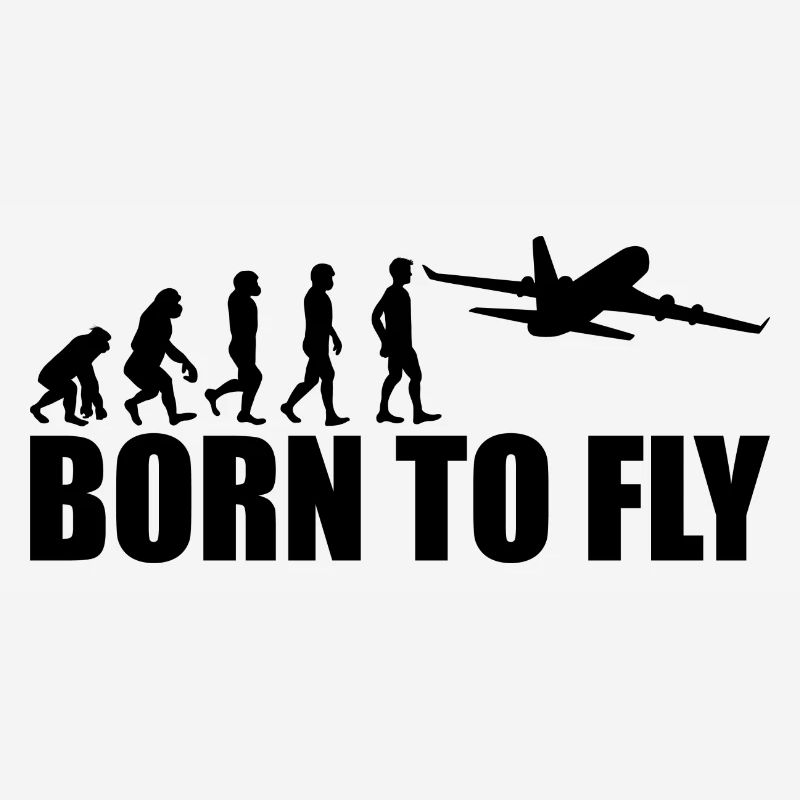 Born to fly gift pilot plane copilot
