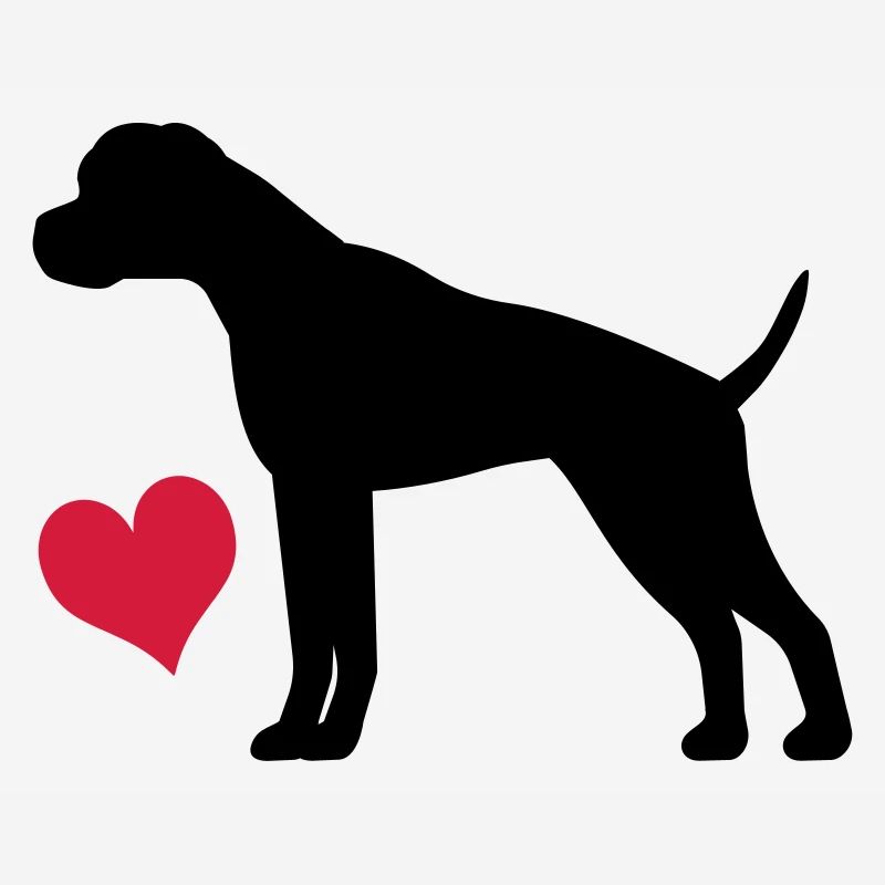 boxer