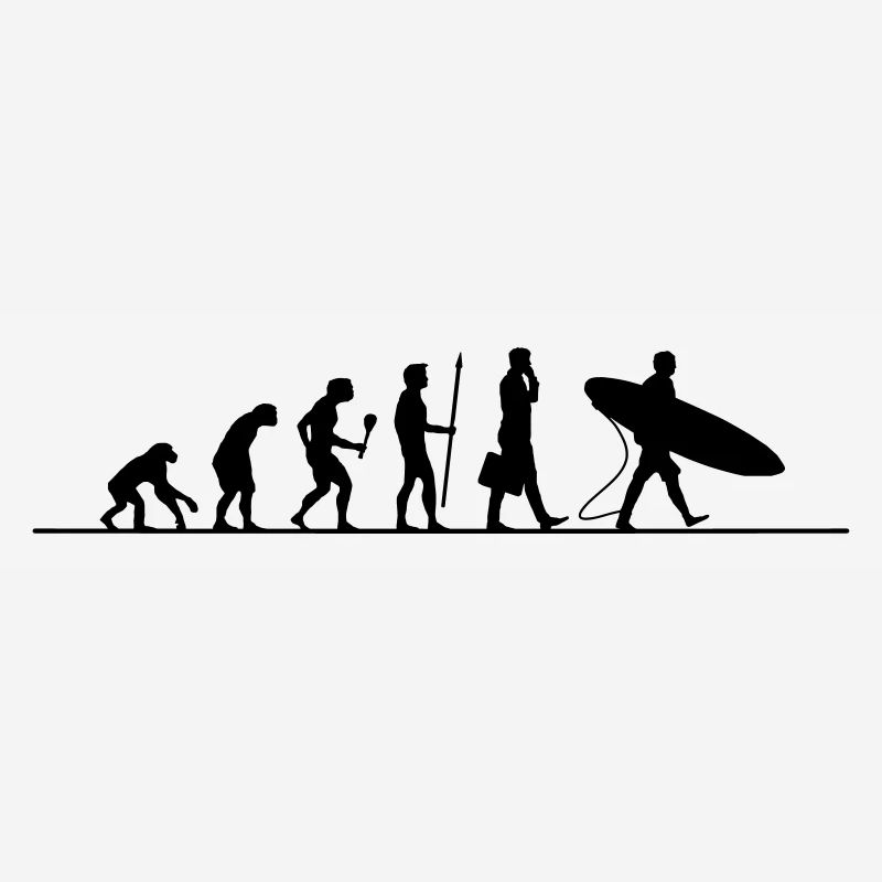 Evolution Surfen
