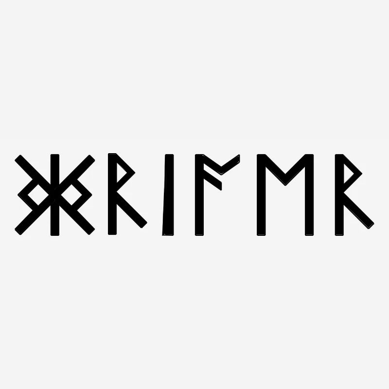 Warrior Runes Scripture Germanique Celtes Viking