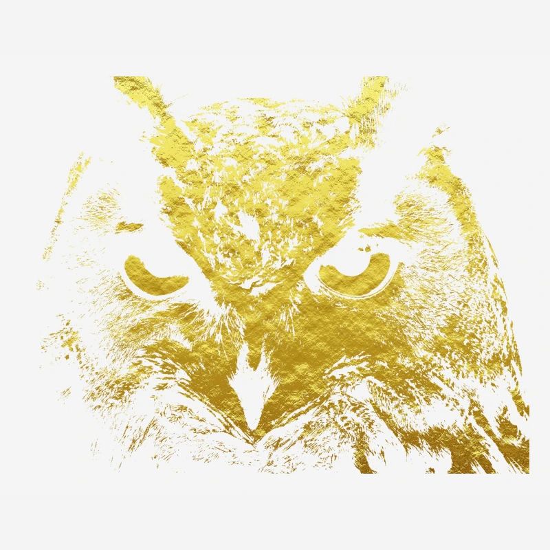 Hibou