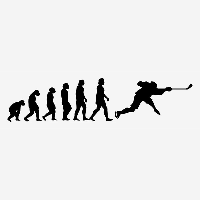 l'évolution du hockey