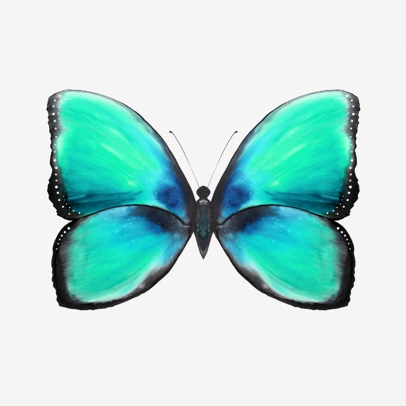Blaue Freiheit