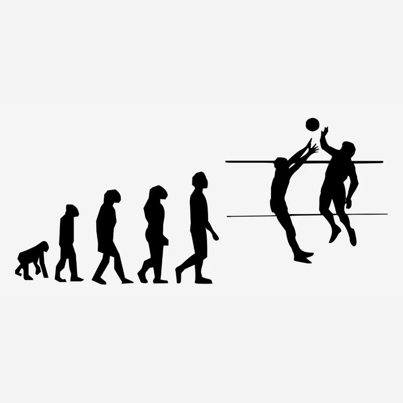 Volley évolution