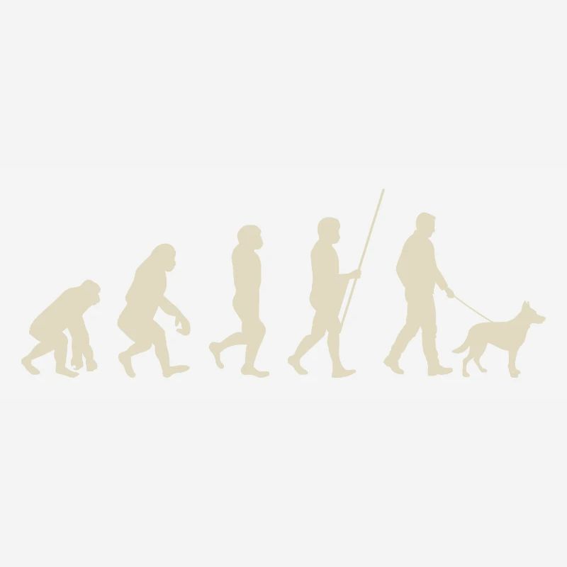 Illustration de l’évolution de l’humanité