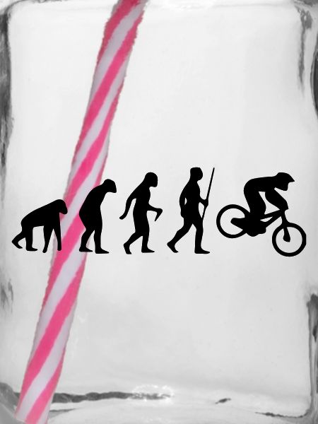 MOTORCROSS EVOLUTION