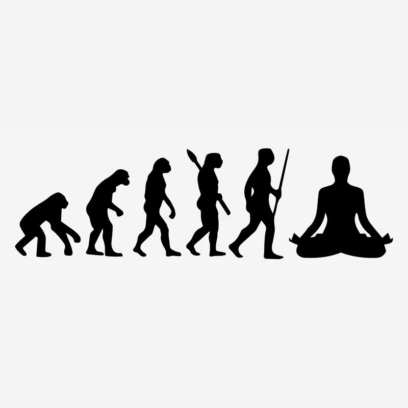MEDITATION EVOLUTION!