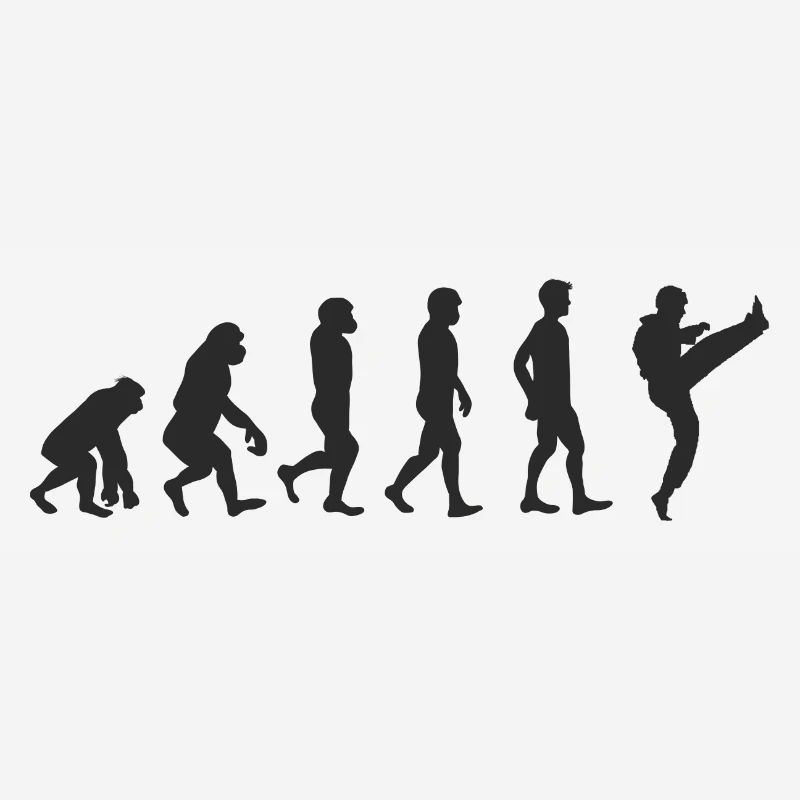 Evolution Karate