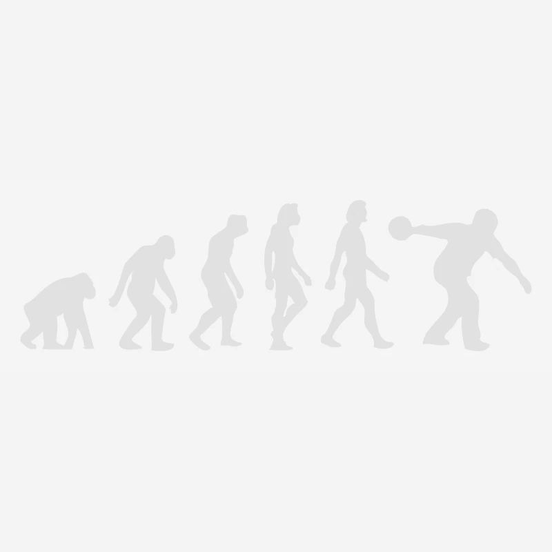 L'évolution des bowling